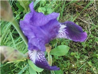 afc79c63-Picture 156.jpg